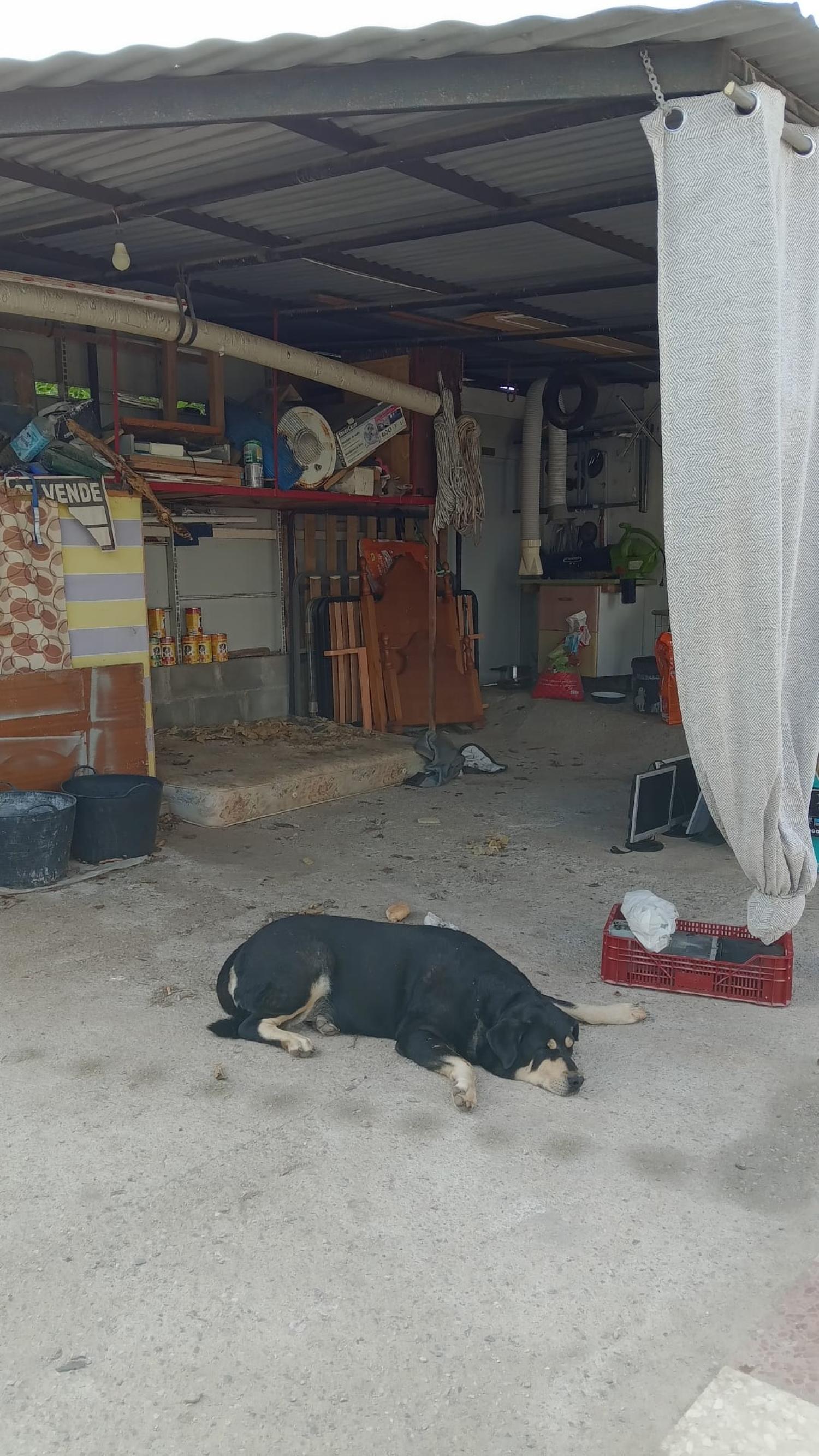  kaufen Reihenhaus Puntalón Costa Tropical 9