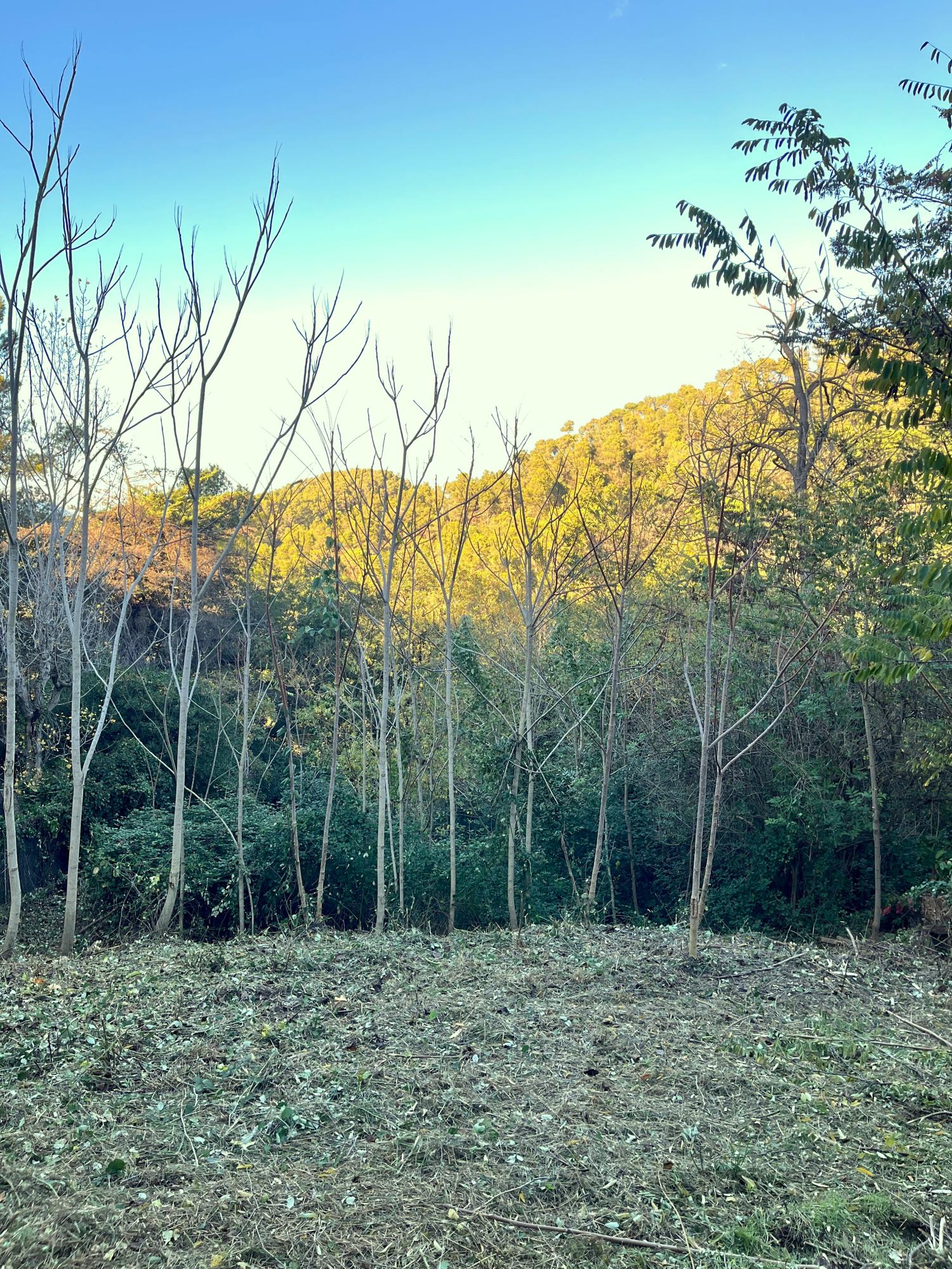  kaufen Grundstück Les Planes Vallès Occidental 1