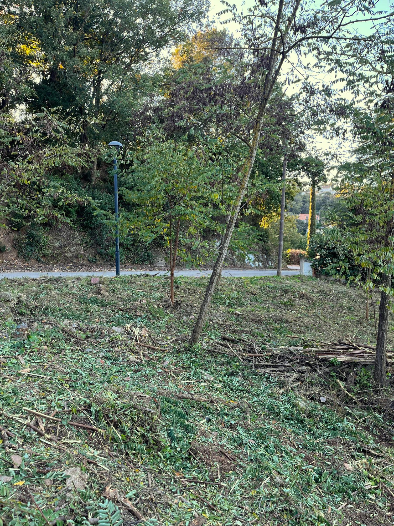  kaufen Grundstück Les Planes Vallès Occidental 10