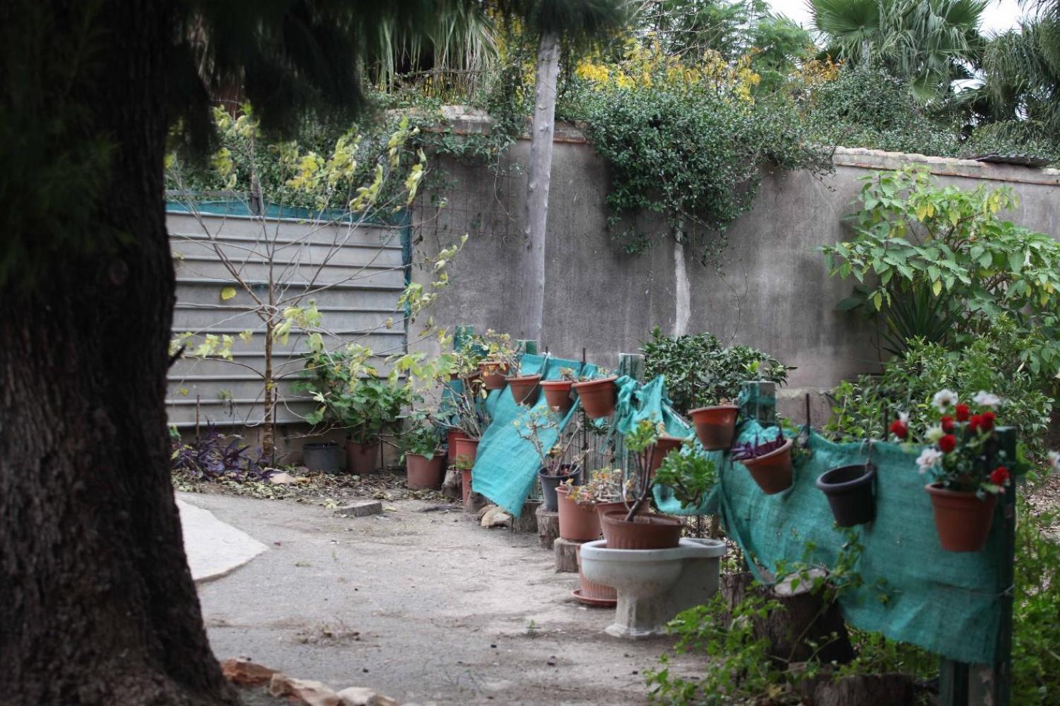  kaufen Villa Sollana Ribera Baixa 80