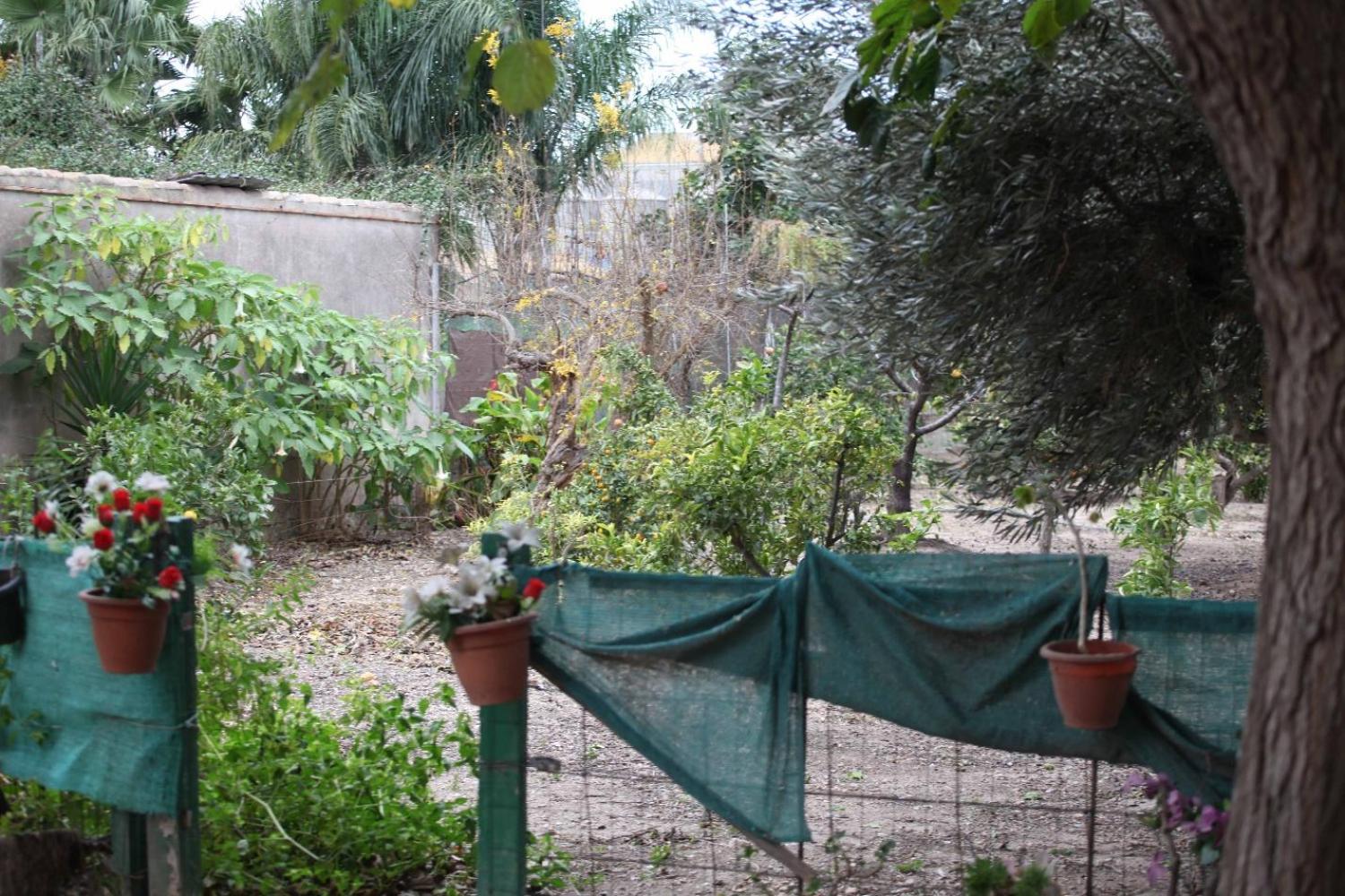  kaufen Villa Sollana Ribera Baixa 68