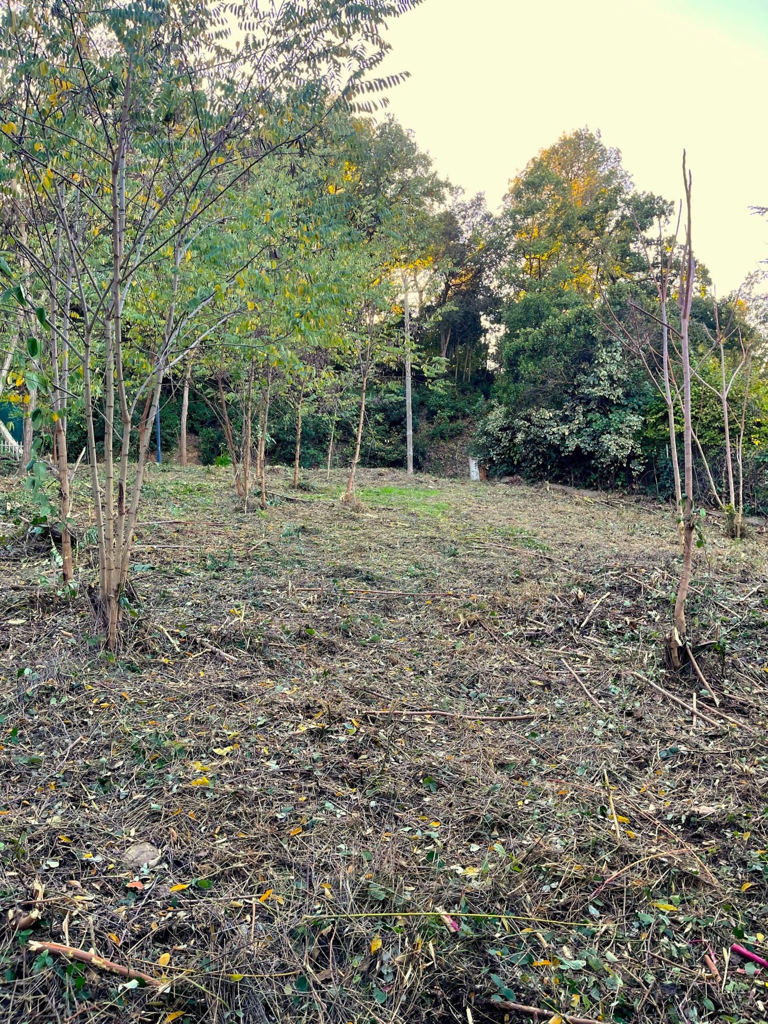  kaufen Grundstück Les Planes Vallès Occidental 2