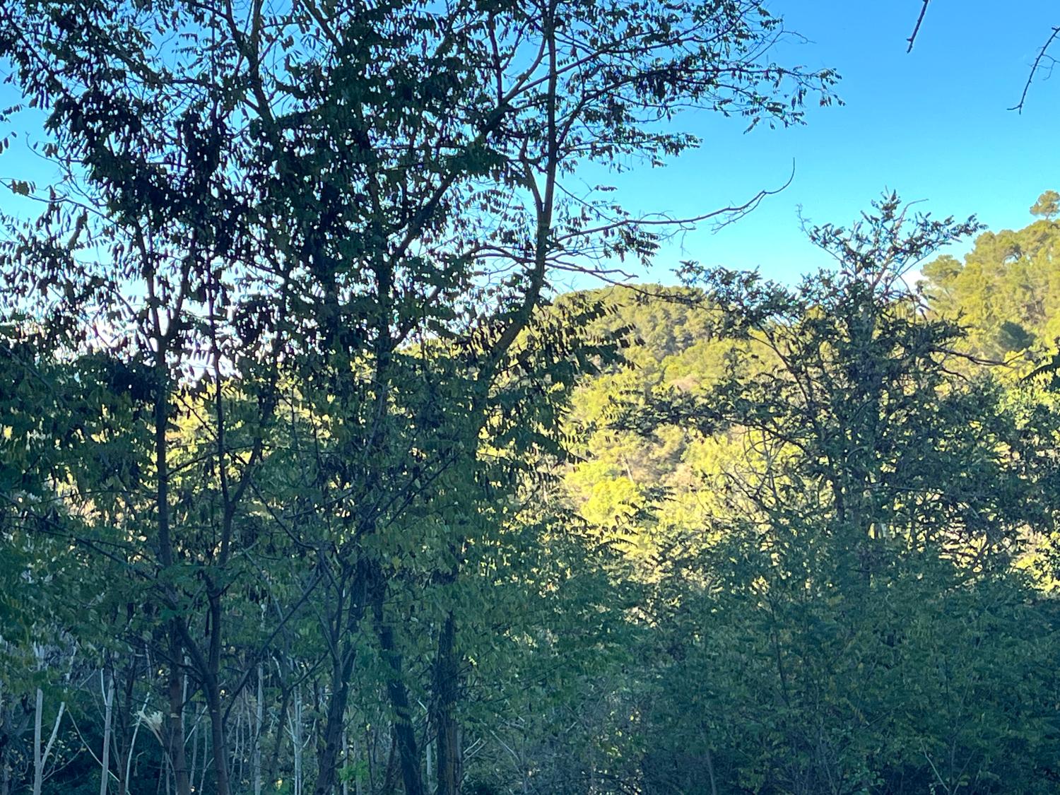  kaufen Grundstück Les Planes Vallès Occidental 9