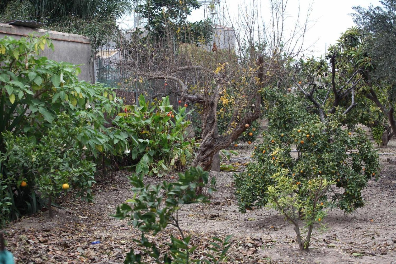  kaufen Villa Sollana Ribera Baixa 81