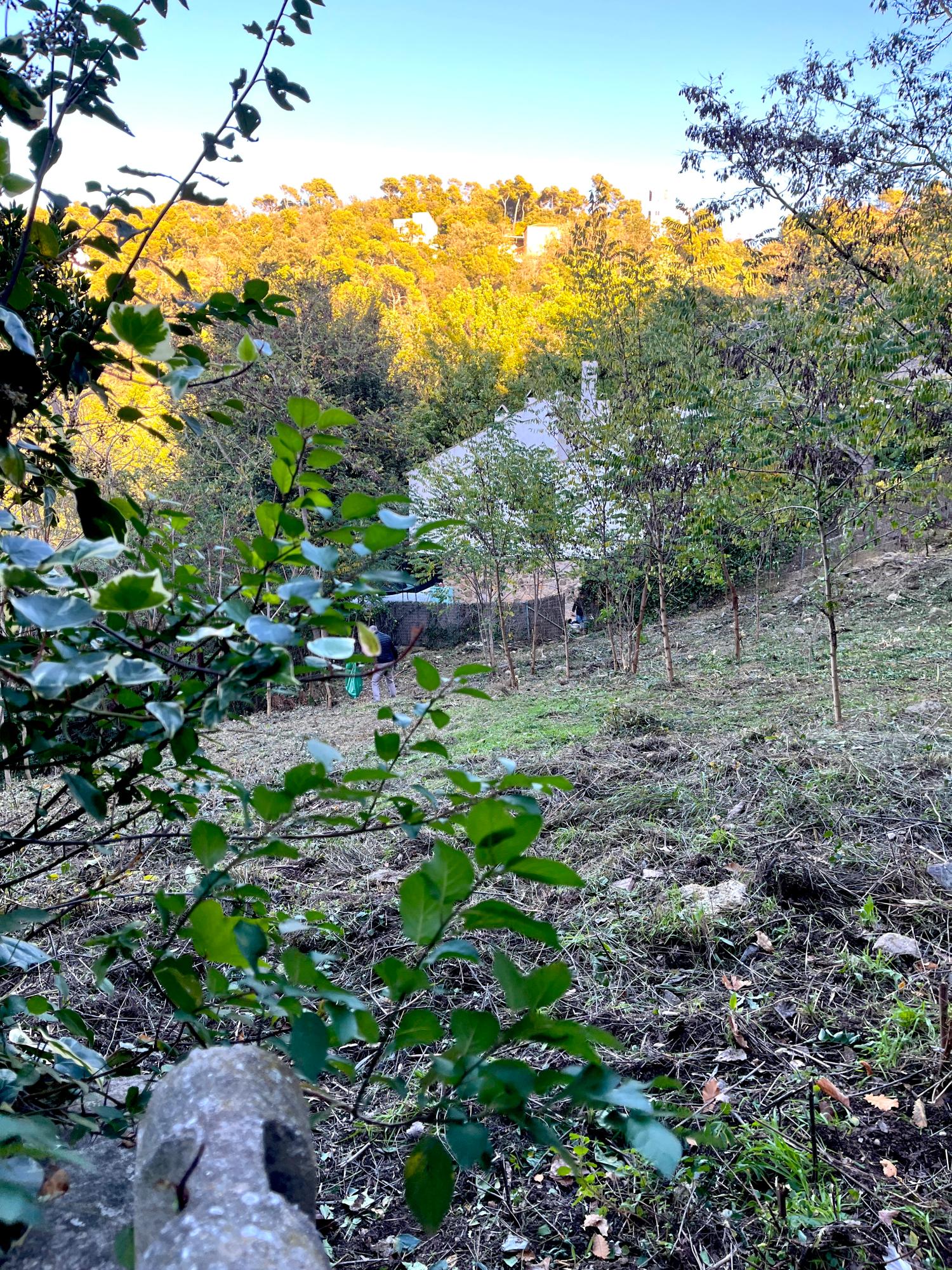  kaufen Grundstück Les Planes Vallès Occidental 3