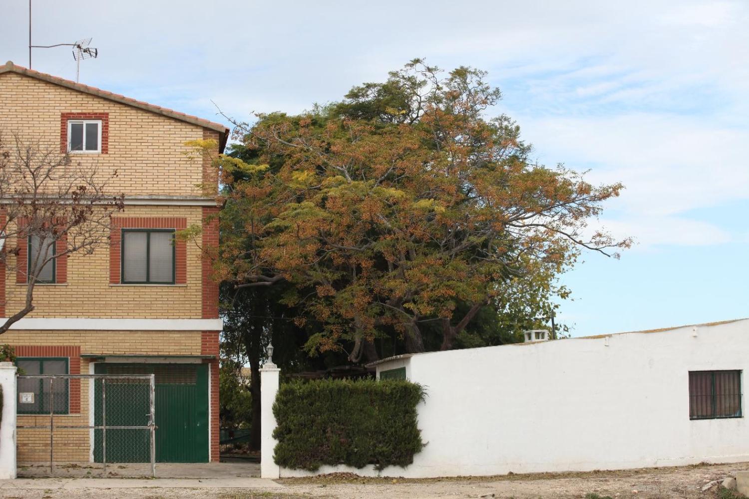  kaufen Villa Sollana Ribera Baixa 16