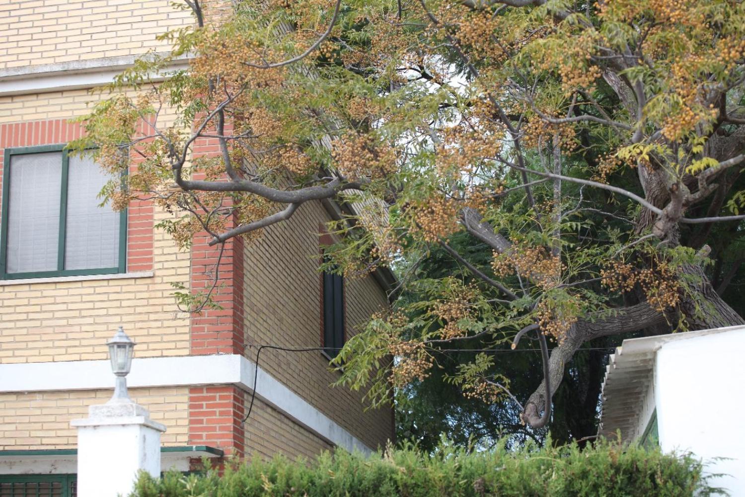  kaufen Villa Sollana Ribera Baixa 19