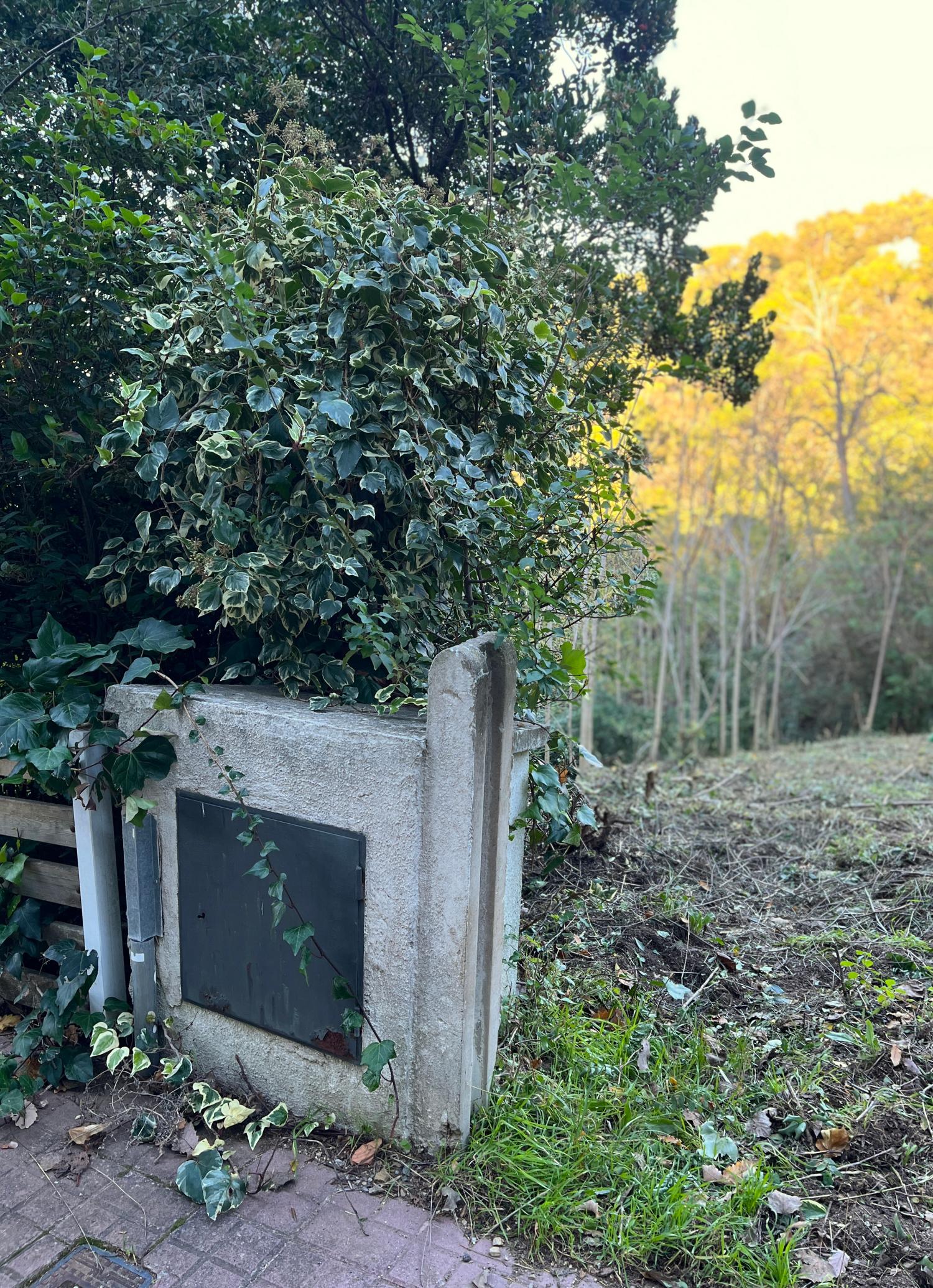  kaufen Grundstück Les Planes Vallès Occidental 11