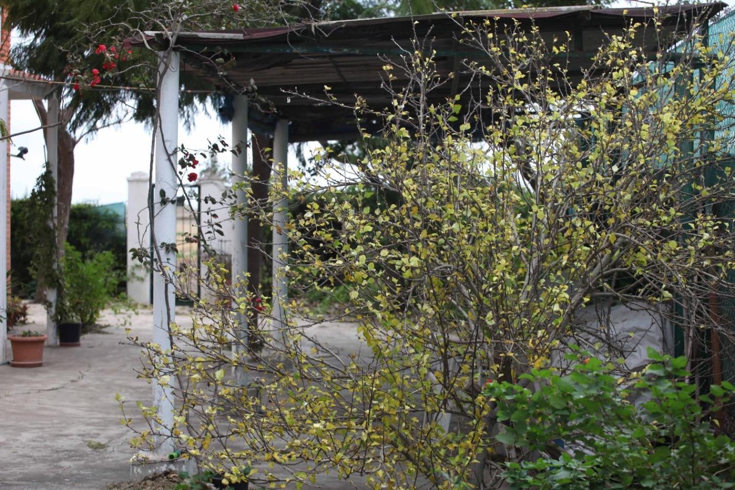  kaufen Villa Sollana Ribera Baixa 69