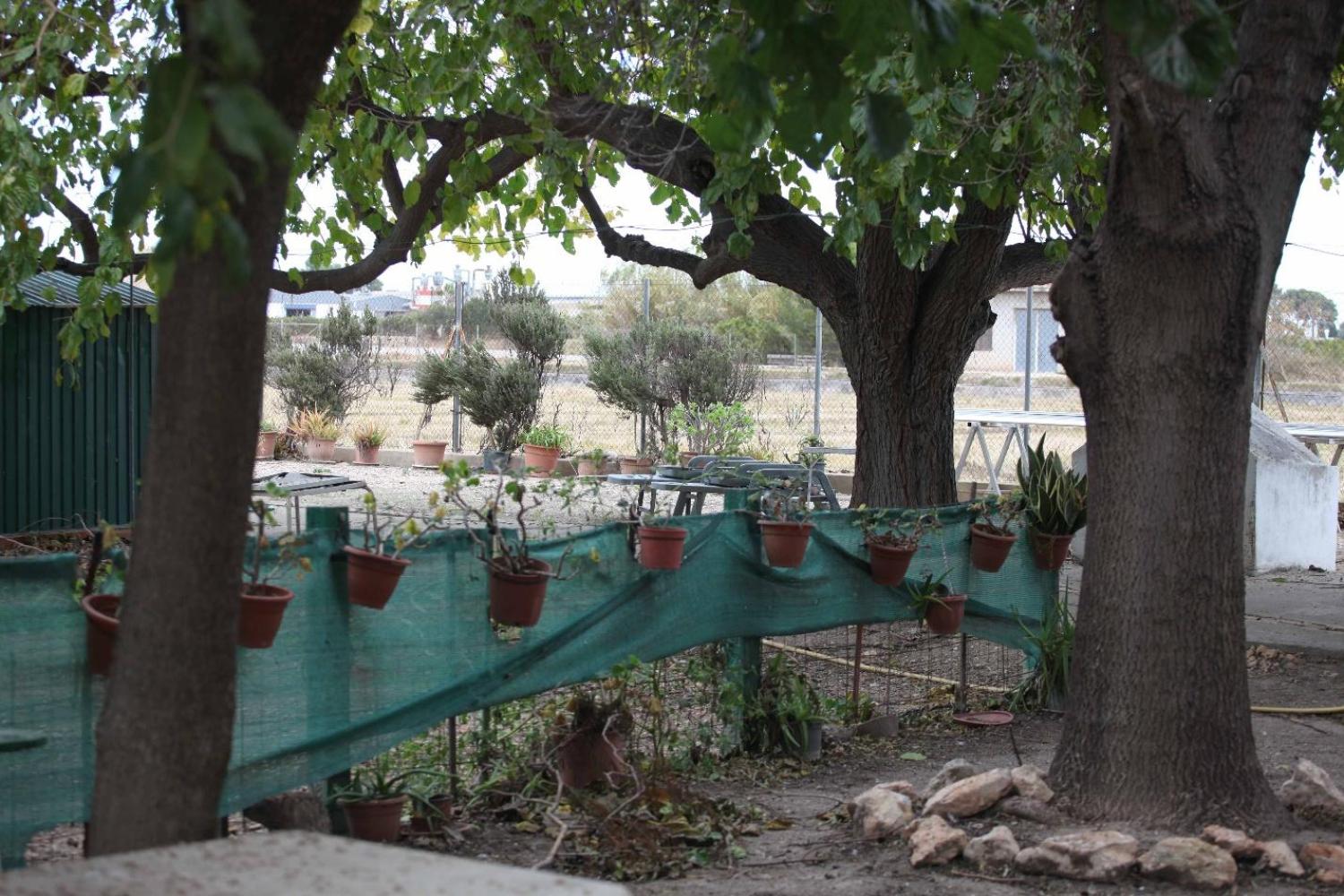  kaufen Villa Sollana Ribera Baixa 79