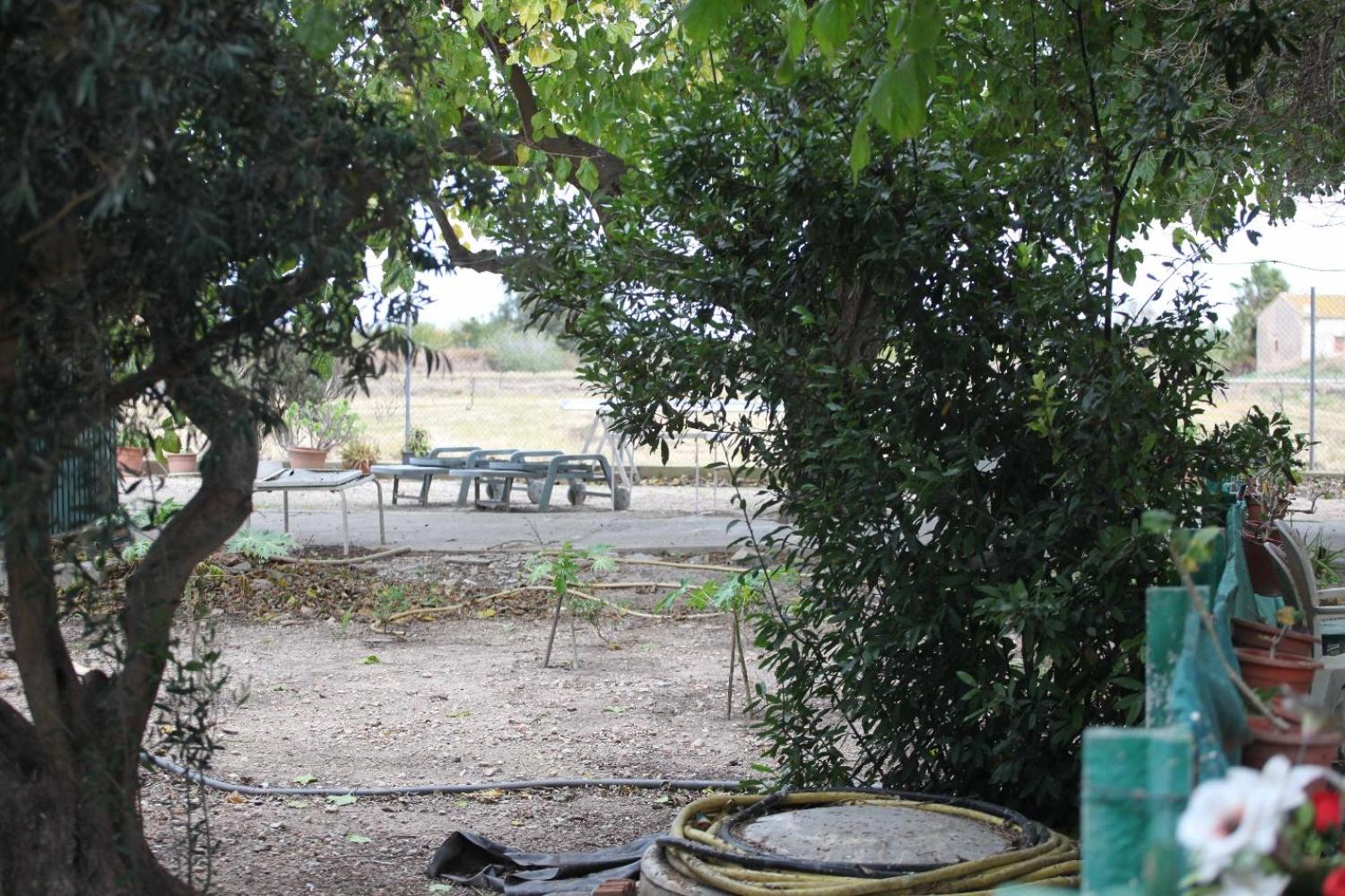  kaufen Villa Sollana Ribera Baixa 82