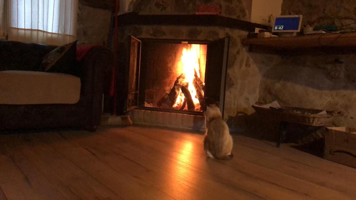 kaufen Landhaus Casas Del Castañar Valle Del Jerte 3