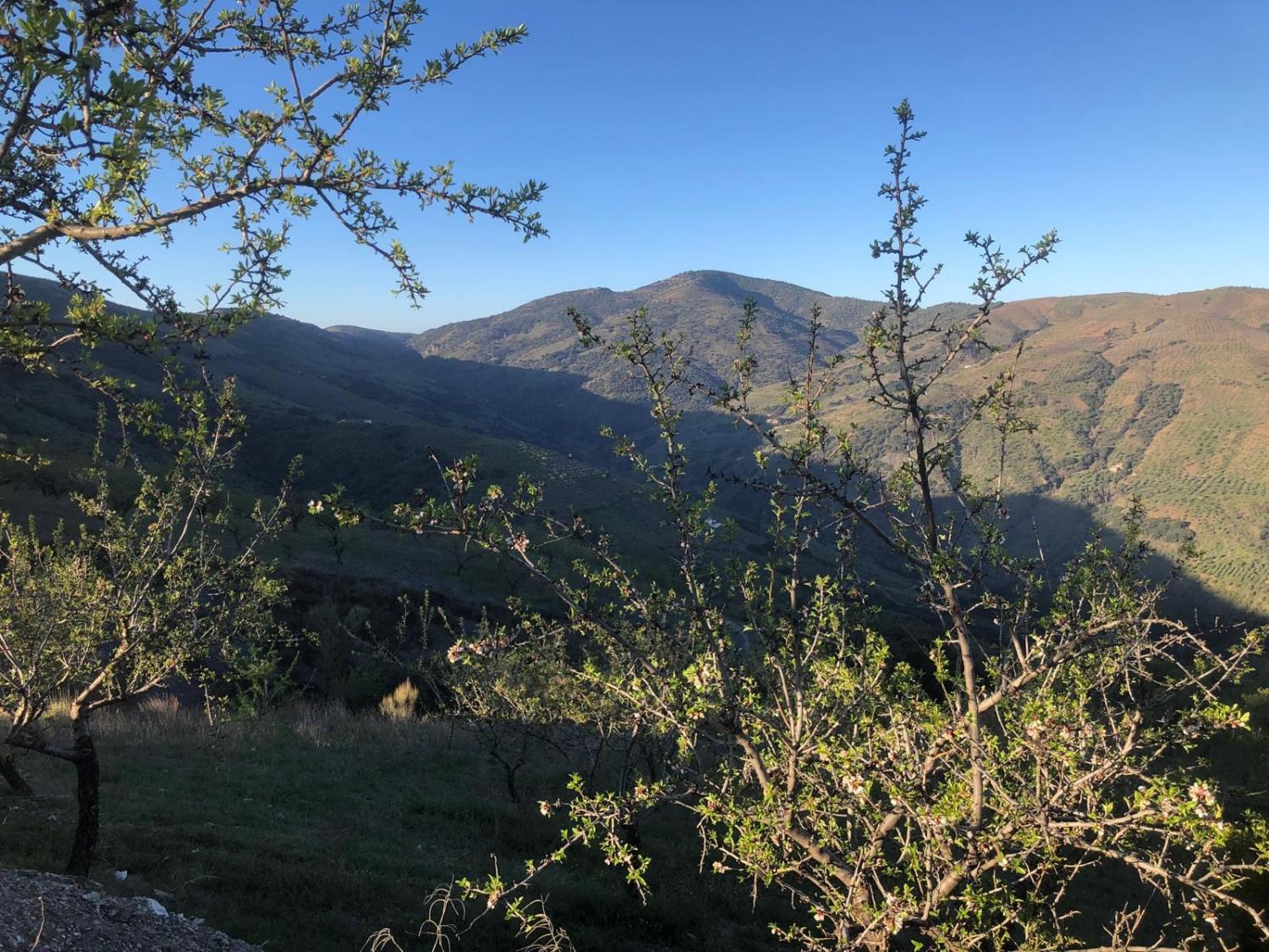  kaufen Haus Torvizcón Alpujarra Granadina 9