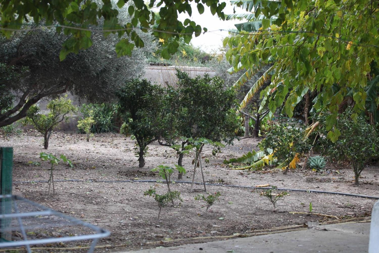  kaufen Villa Sollana Ribera Baixa 73