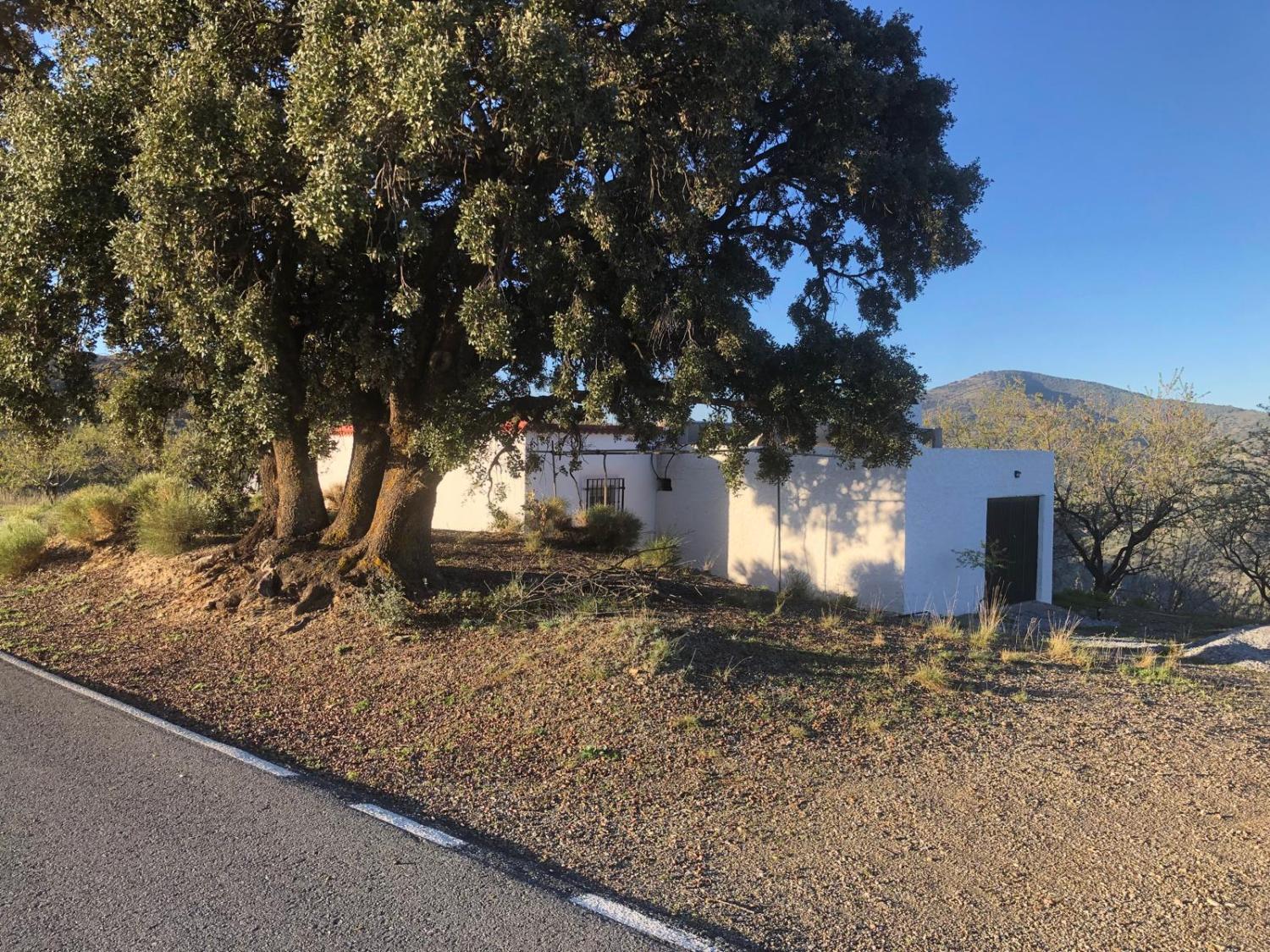 kaufen Haus Torvizcón Alpujarra Granadina 1