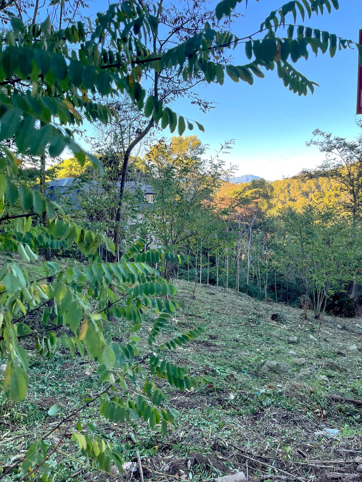  kaufen Grundstück Les Planes Vallès Occidental 4