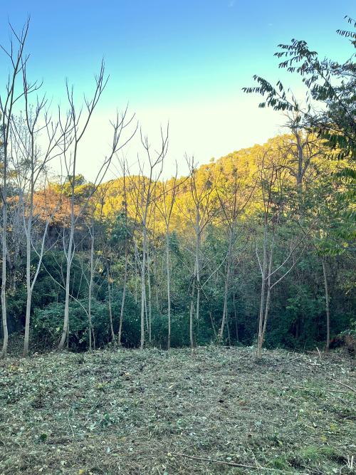 Les Planes Vallès Occidental Grundstück Bild 5408629