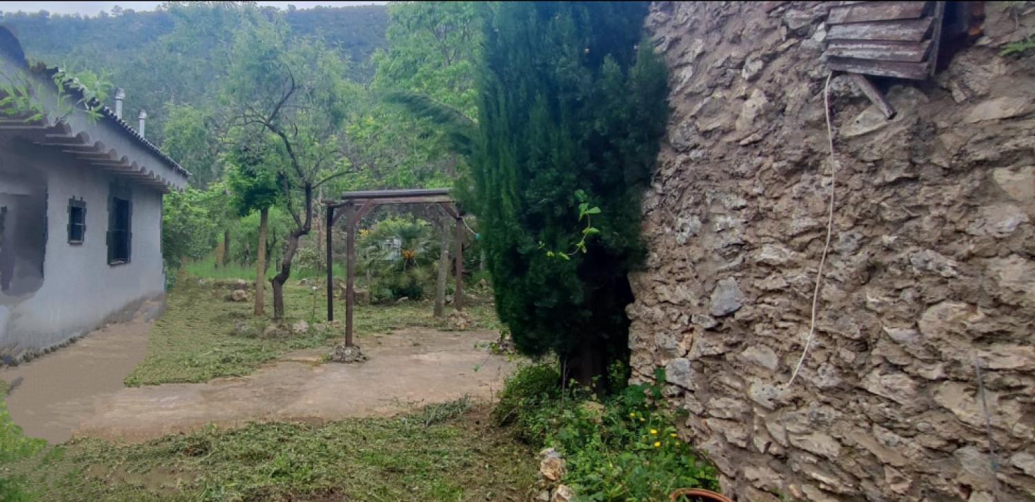  kaufen Haus Vall De Gallinera Marina Alta 8