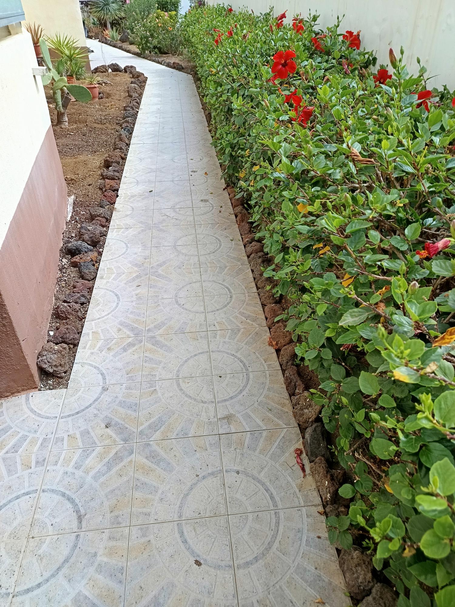  kaufen Wohnung Las Palmas Centro 35004 Palmas De Gran Canaria (Las) 19
