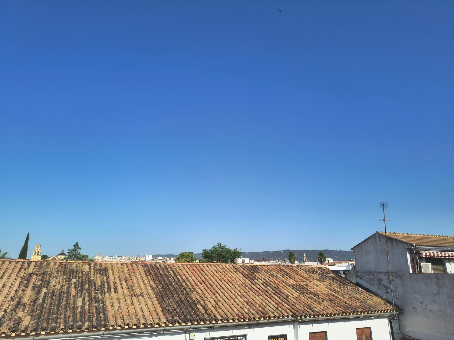  kaufen Maisonette Córdoba Centro 14002 Córdoba 33