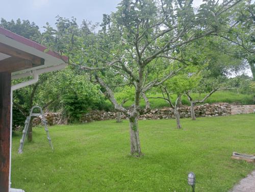 Mercadal Besaya Haus Bild 6162892