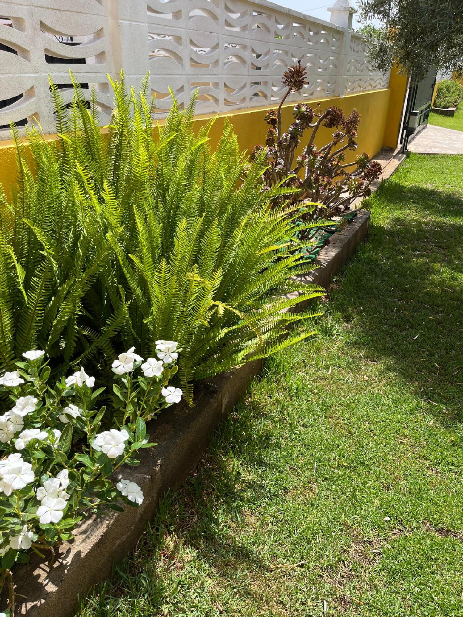  kaufen Villa Grao Plana Alta 47