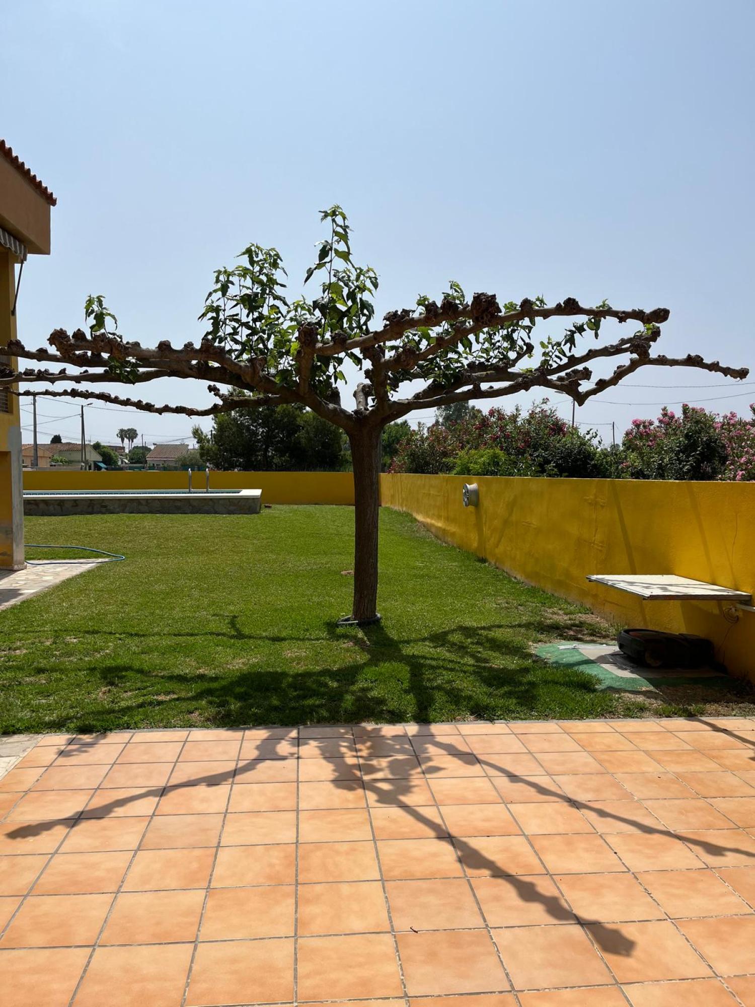  kaufen Villa Grao Plana Alta 32