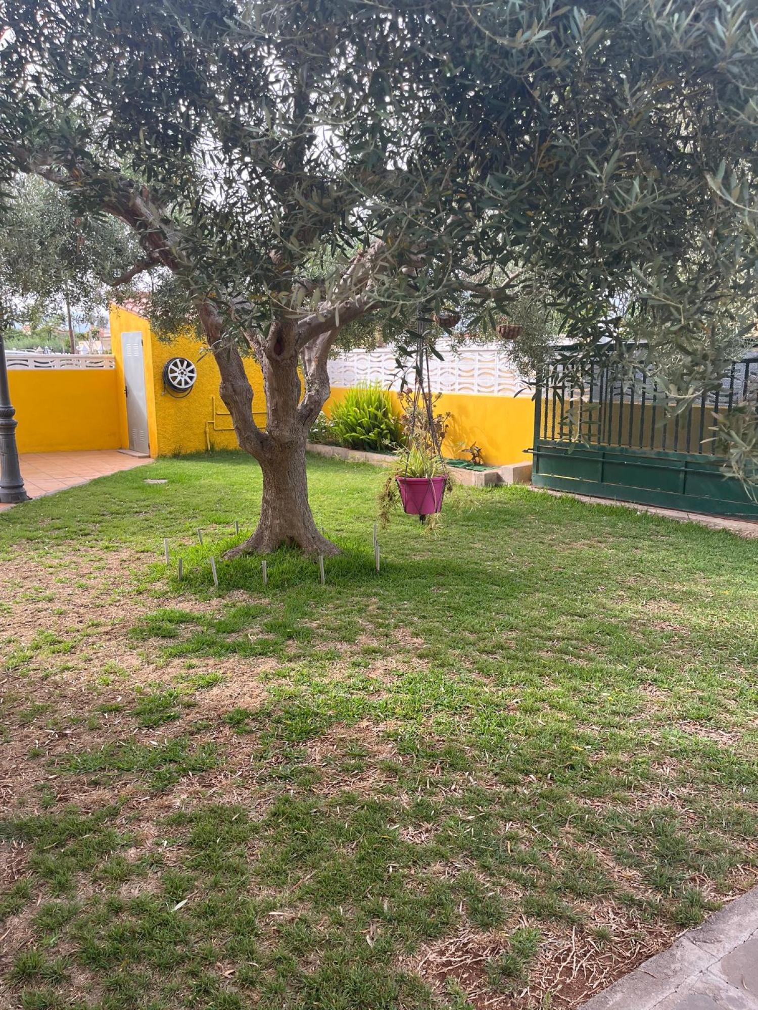  kaufen Villa Grao Plana Alta 14