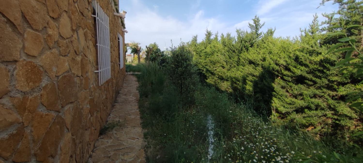  kaufen Haus La Higuera Monte Ibérico Almansa 25