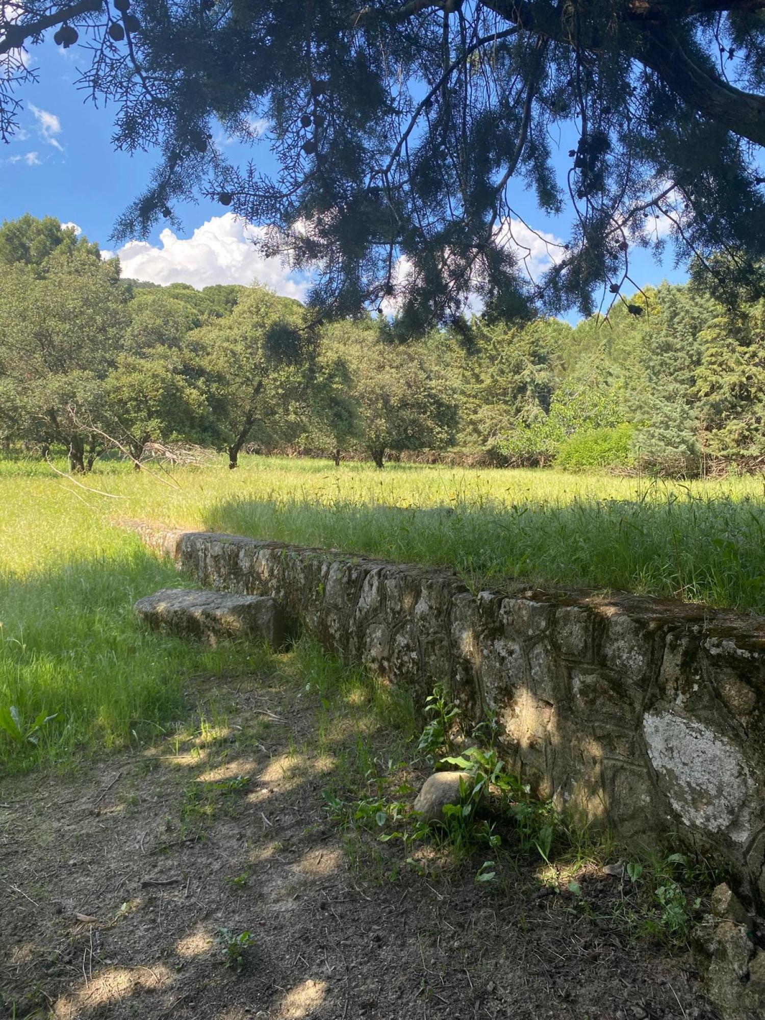  kaufen Grundstück Sotillo De La Adrada Valle Del Tiétar 3