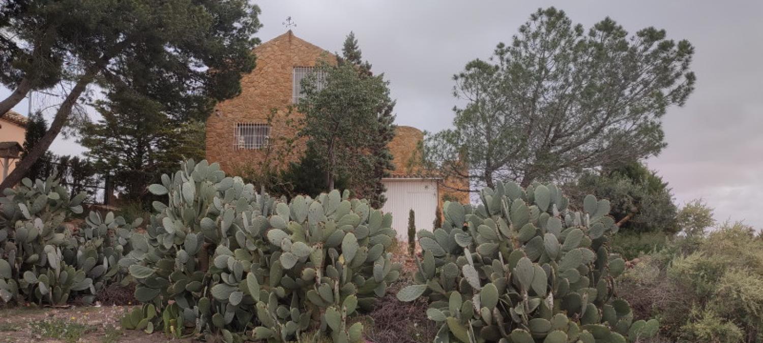  kaufen Haus La Higuera Monte Ibérico Almansa 5