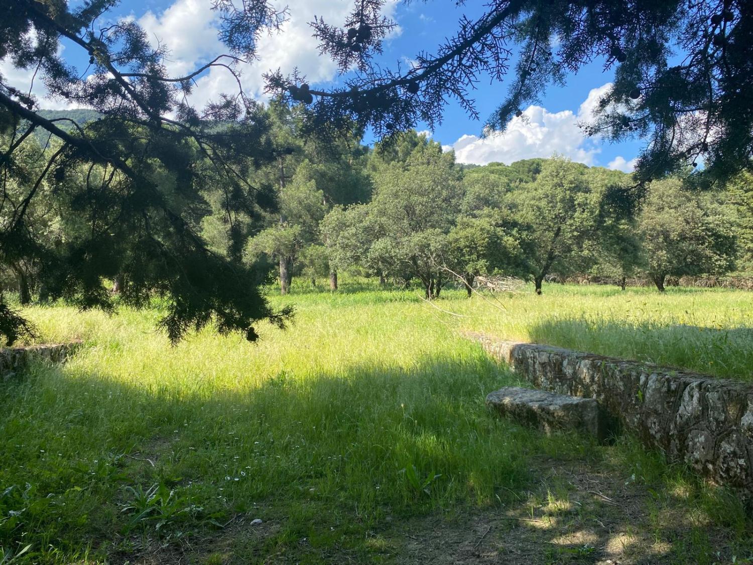  kaufen Grundstück Sotillo De La Adrada Valle Del Tiétar 1