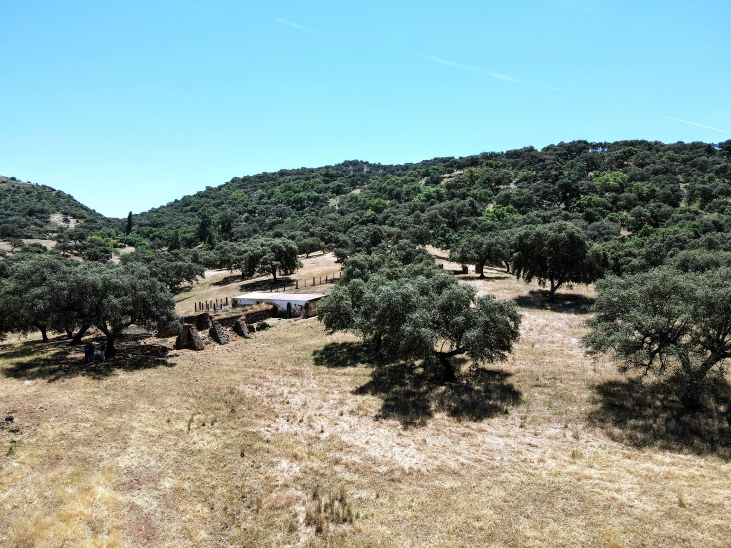  kaufen Landhaus Cazalla De La Sierra Sierra Norte 7