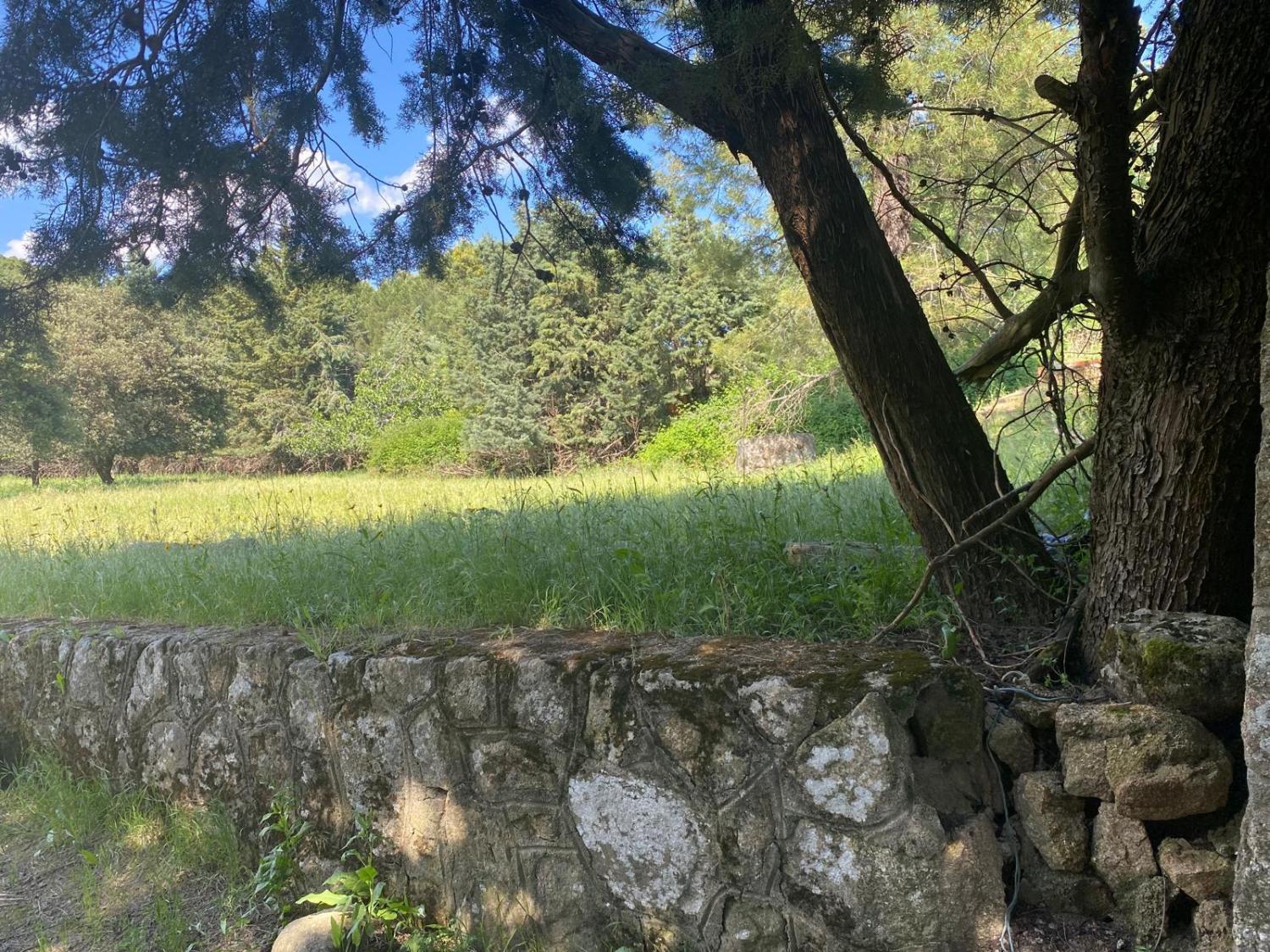  kaufen Grundstück Sotillo De La Adrada Valle Del Tiétar 4