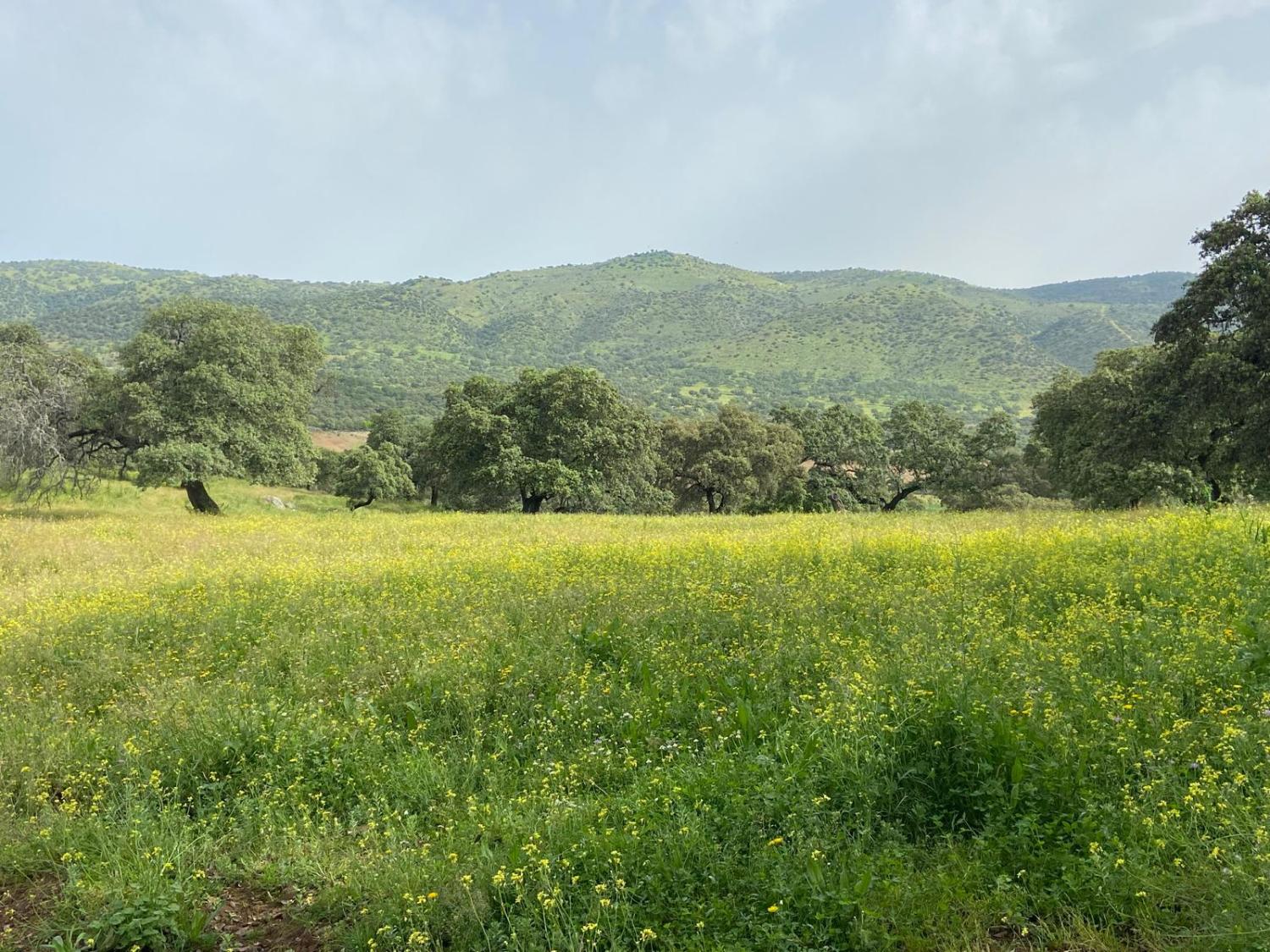  kaufen Landhaus Cazalla De La Sierra Sierra Norte 4