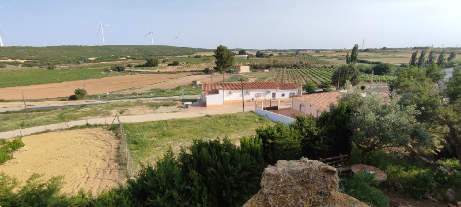  kaufen Haus La Higuera Monte Ibérico Almansa 39