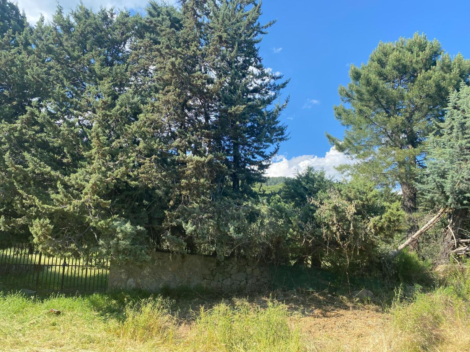  kaufen Grundstück Sotillo De La Adrada Valle Del Tiétar 7