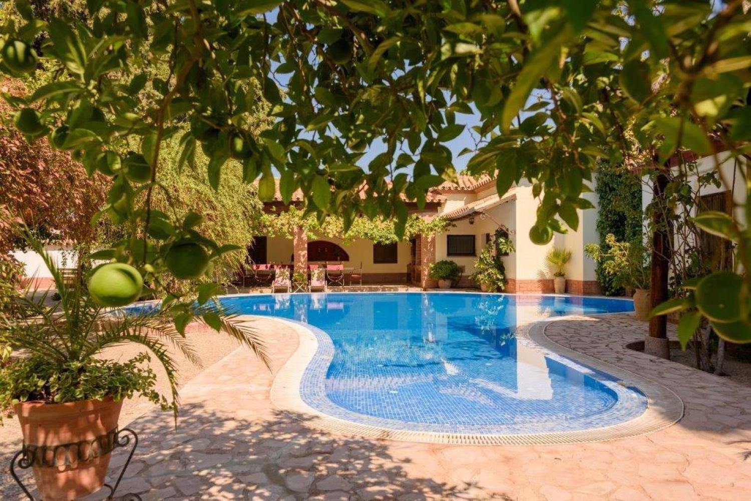  kaufen Villa Écija Écija 1