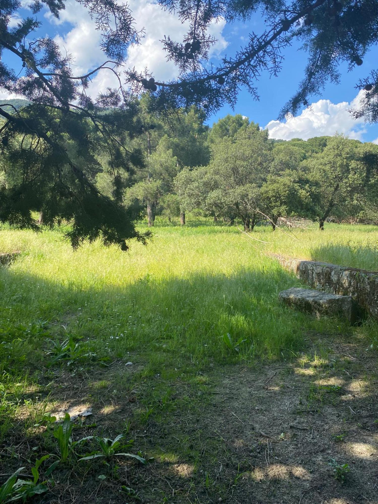  kaufen Grundstück Sotillo De La Adrada Valle Del Tiétar 8