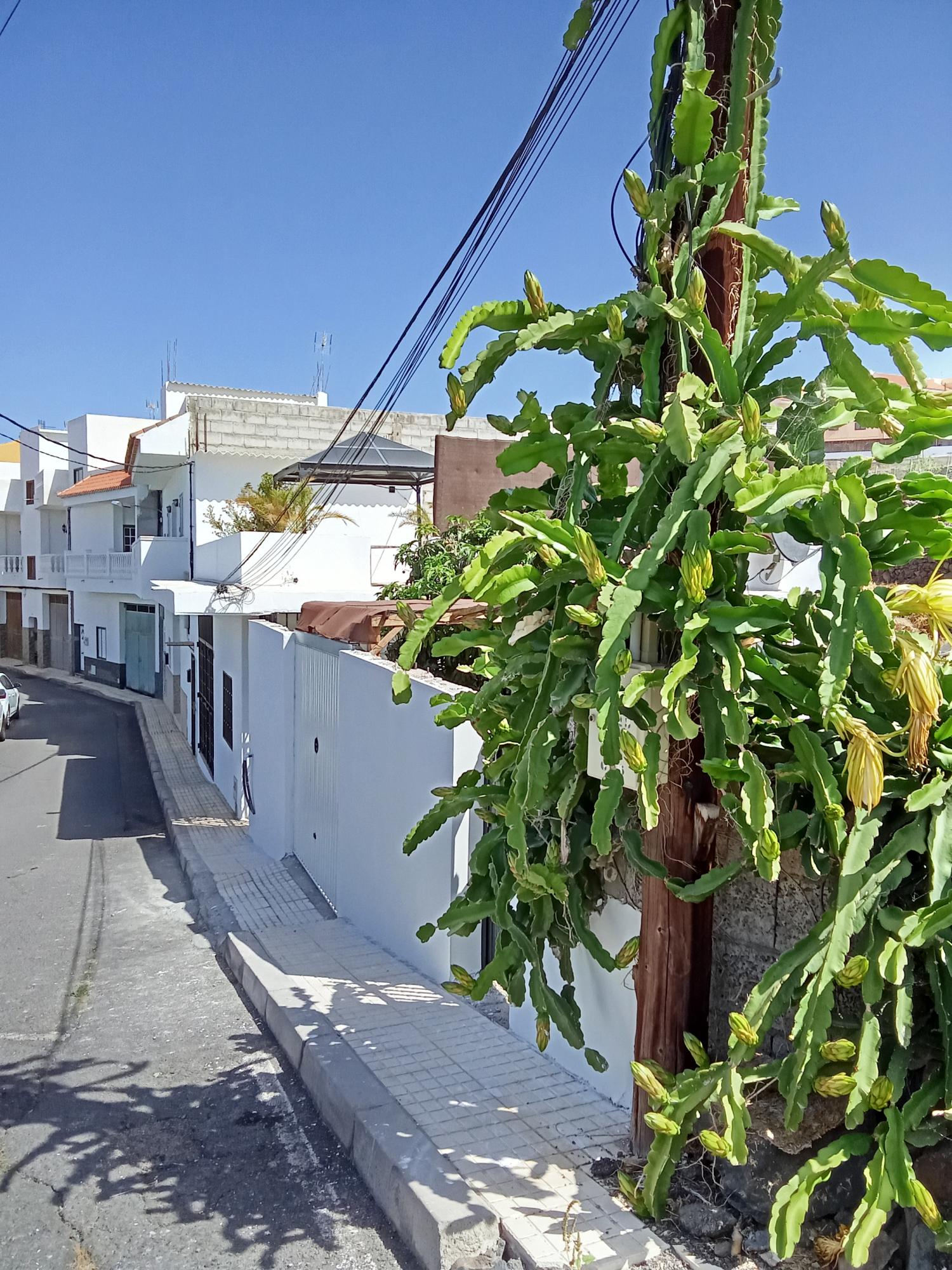  kaufen Villa Los Menores Zona Sur 20