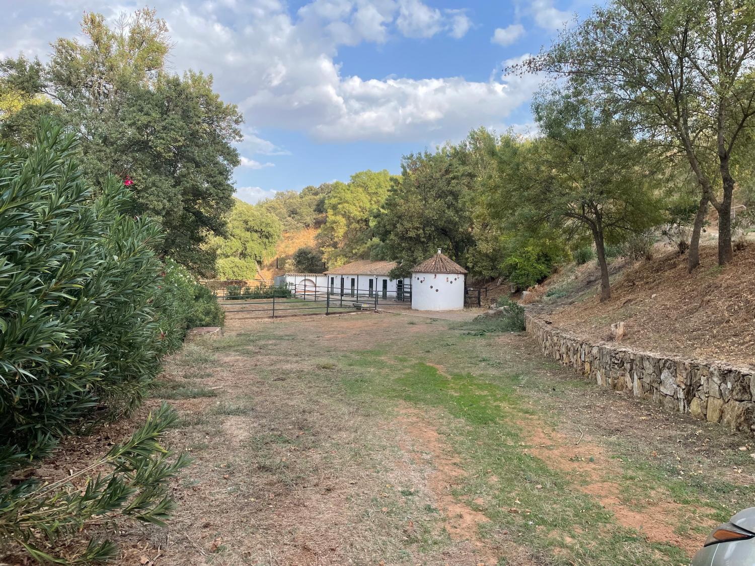  kaufen Landhaus Constantina Sierra Norte 30