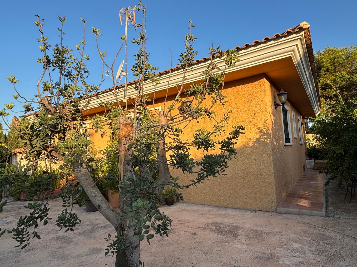  kaufen Villa San Vicente Del Raspeig Alacantí 26