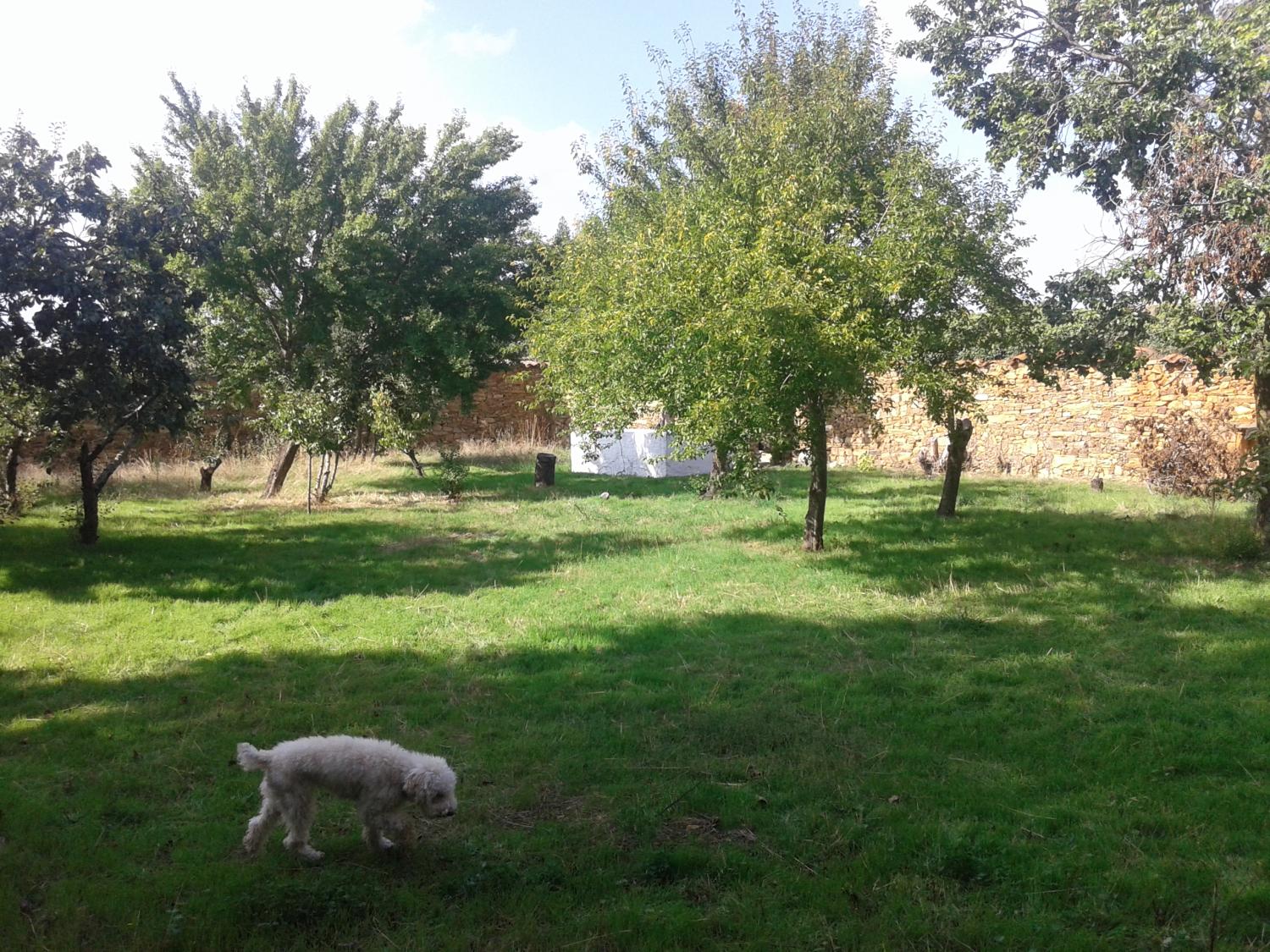  kaufen Landhaus Val De San Lorenzo Astorga 11