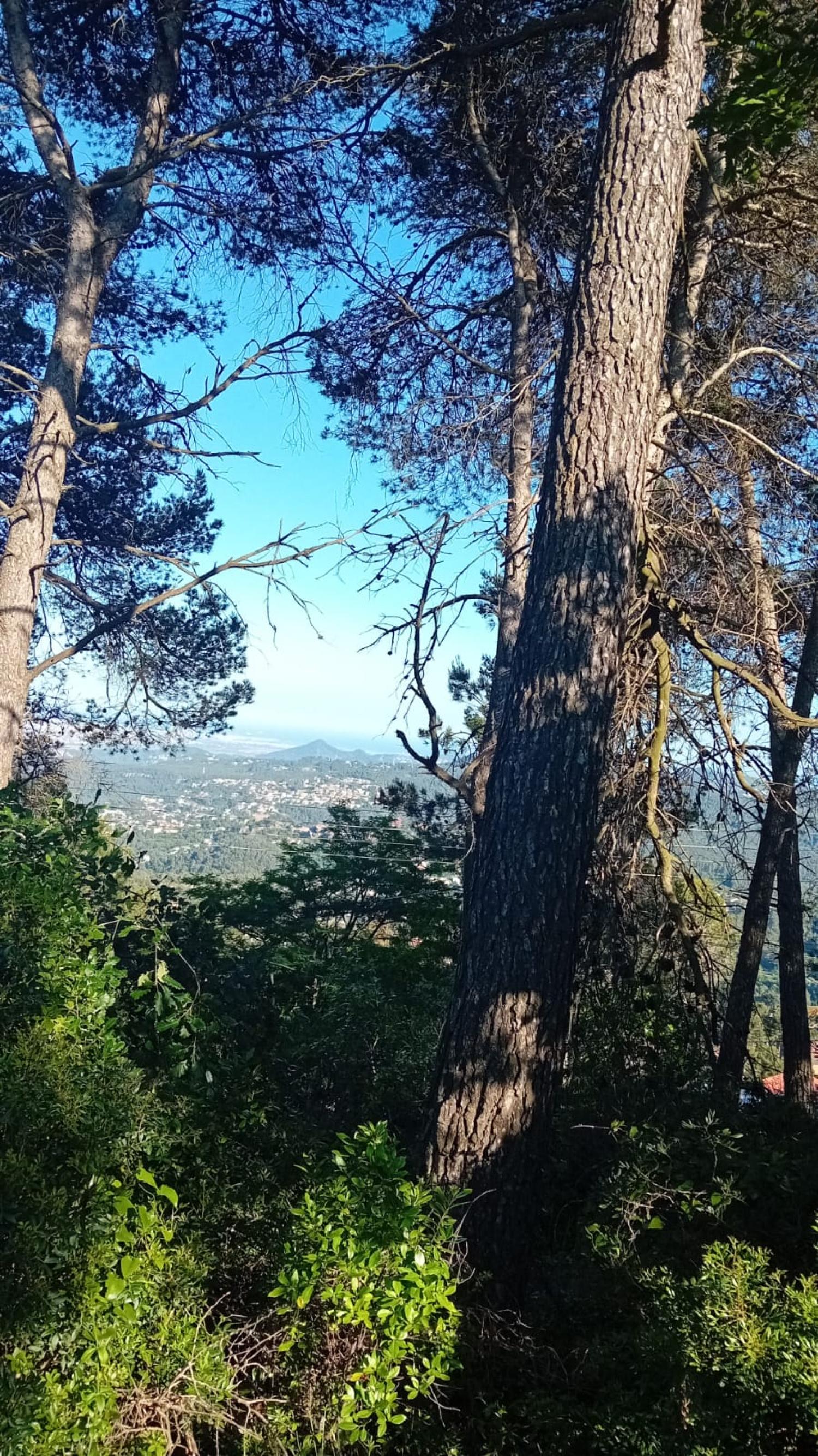 kaufen Grundstück Corbera De Llobregat Baix Llobregat 2