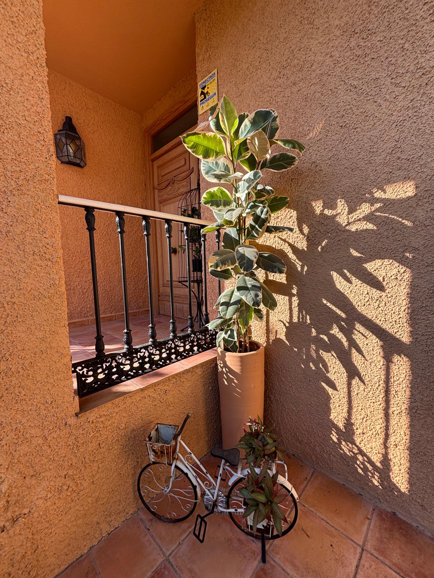  kaufen Villa San Vicente Del Raspeig Alacantí 12