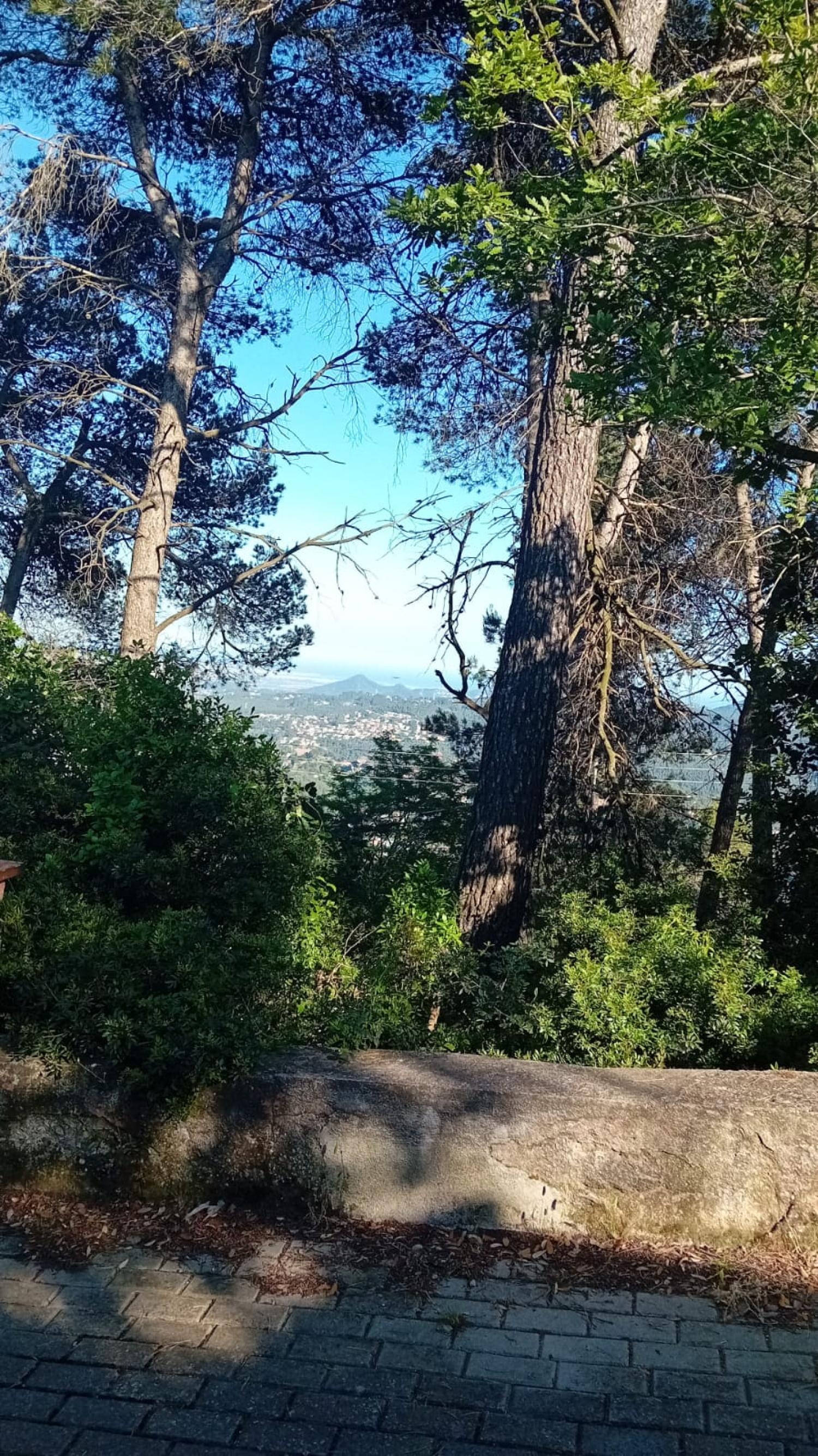 kaufen Grundstück Corbera De Llobregat Baix Llobregat 3