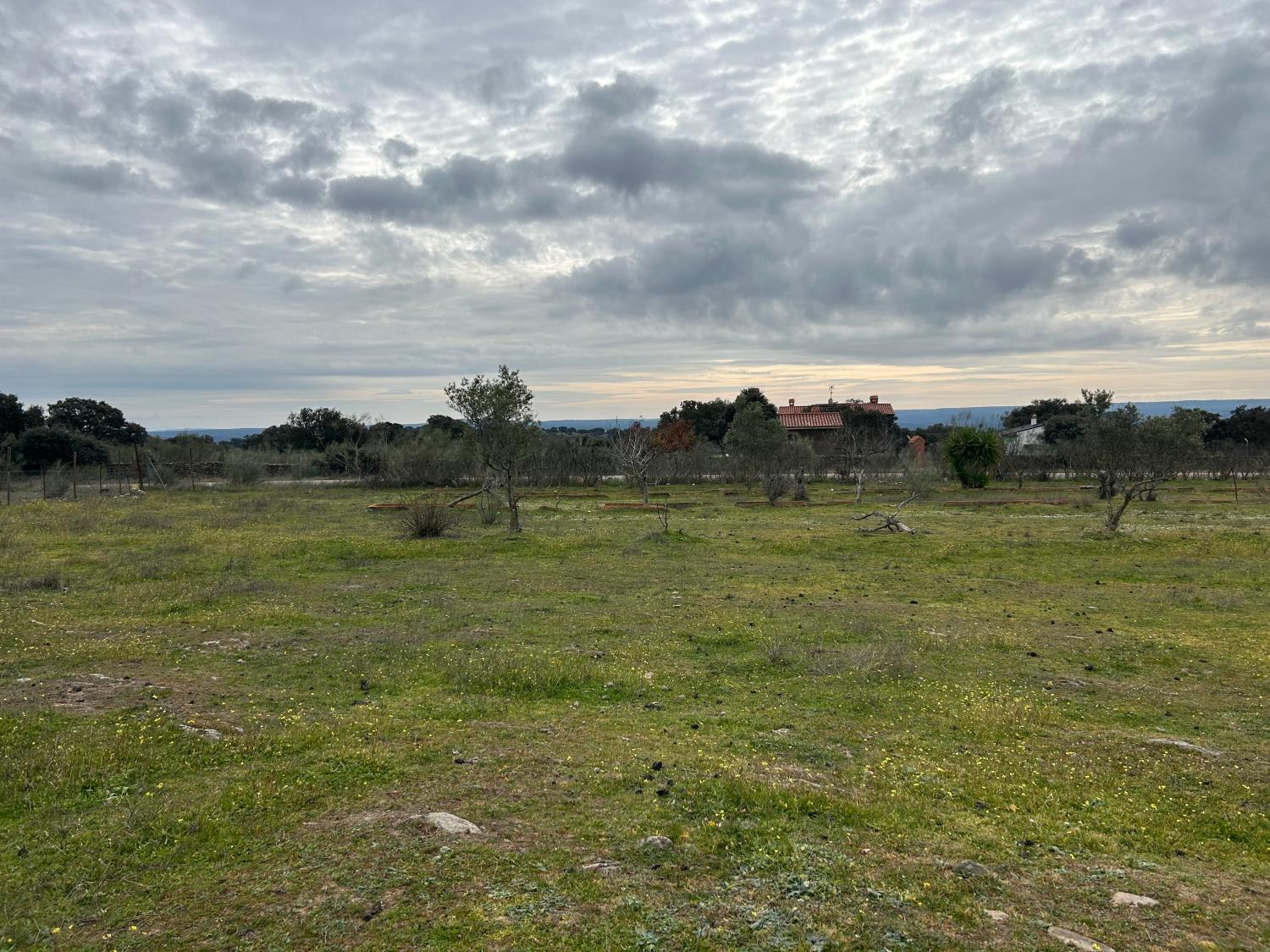  kaufen Landhaus Serradilla Monfragüe 17