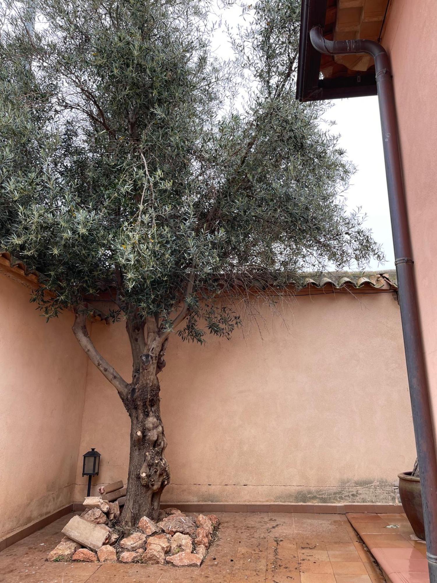  kaufen Villa Ossa De Montiel Sierra De Alcaraz 13