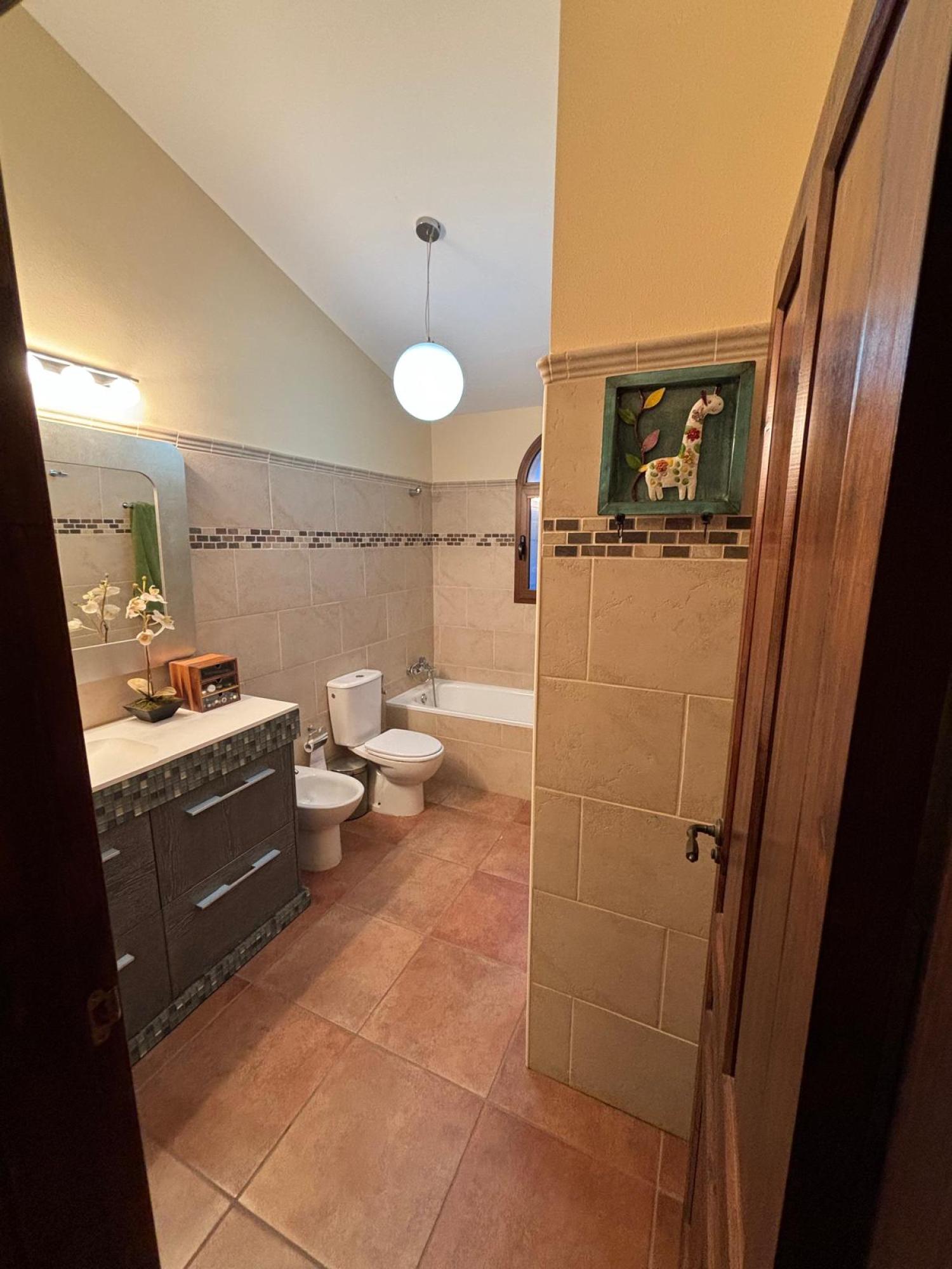  kaufen Villa Bigastro Baix Segura 19