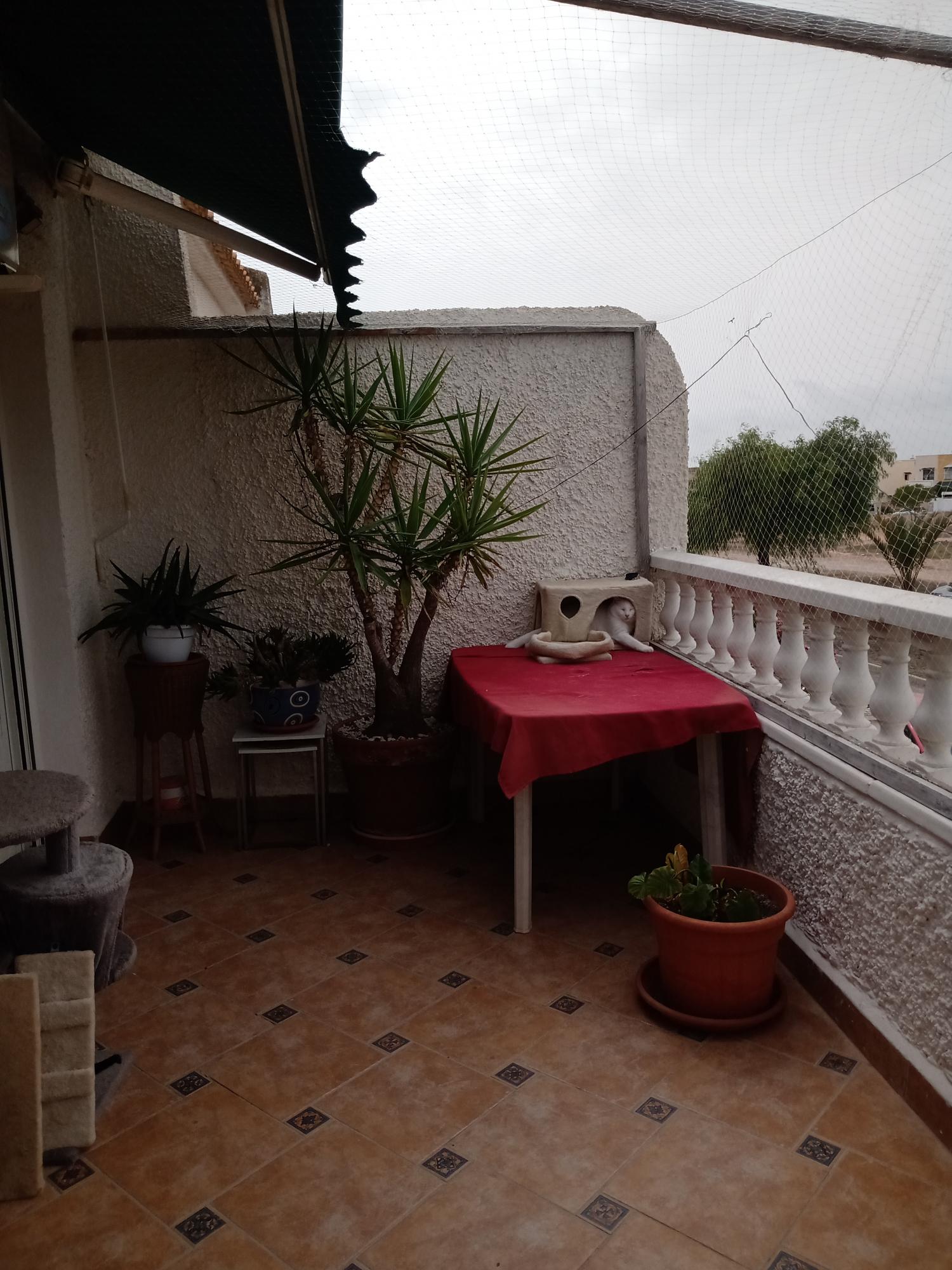  kaufen Doppelhaushälfte Orihuela Costa Baix Segura 6